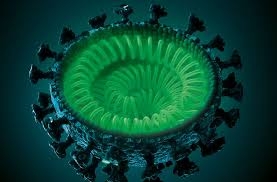 Mutación del coronavirus: el nuevo enemigo