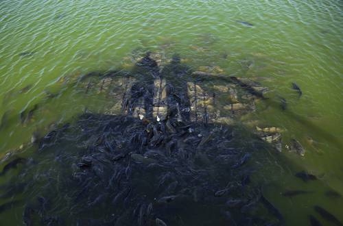 “Los humanos tienen un papel dominante en el ciclo del agua”