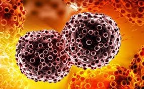 Crean células inmunes que actúan contra el cáncer metastásico