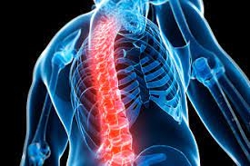 Logran reprogramar células para crear otras que estimulen la recuperación en lesiones de médula espinal