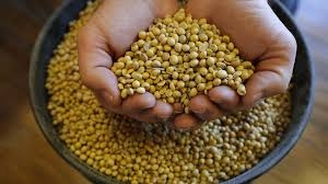 La alianza agrícola-estratégica entre China y Rusia