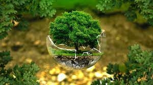 Identifican gen que facilitaría a las plantas soportar el calentamiento global