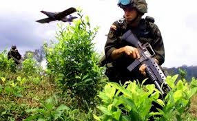 Colombia autoriza el uso de glifosato a pesar de las protestas