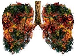 59203f37c1288e06ddb2cdb294b777ab La mitigación del cambio climático debe ser una prioridad para la salud pública