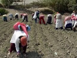 La disputa sobre quién nos alimenta