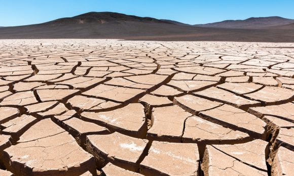 Se prevé que para 2050 las sequías afecten a más de las tres cuartas partes de la población mundial, según ONU