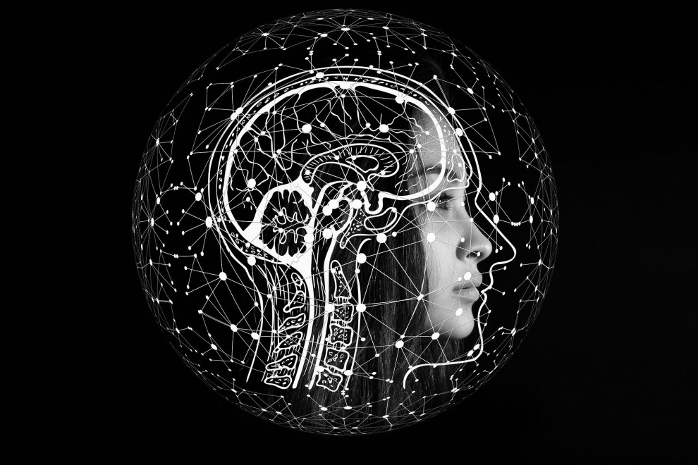 Ya es posible manipular el cerebro de una persona para cambiar su comportamiento