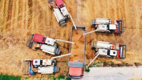 e253d30647e08fb5a9dfabdacd25110f ONU: Crisis alimentaria puede desembocar en una catástrofe global en 2023