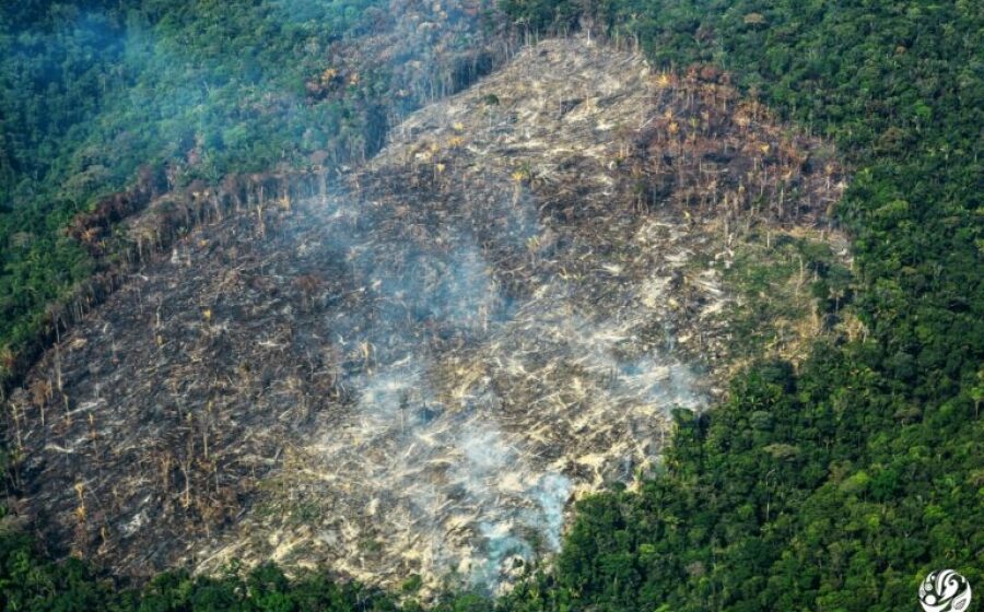 Las deudas de Duque y los retos de Petro en materia ambiental