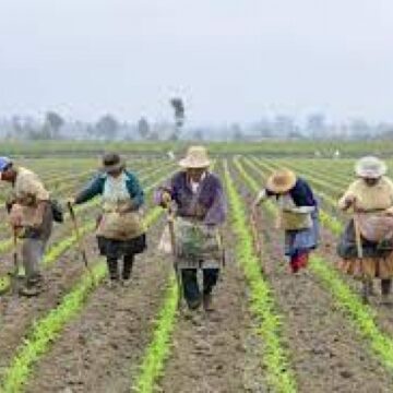 ¿La era de la reforma agraria?