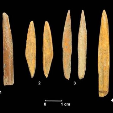 herramientas Hace 45 mil años ya se usaban elaborados utensilios de piedra en miniatura