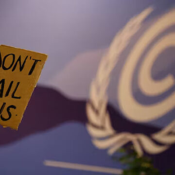 COP 27, siete logros, ocho problemas y una gran decepción