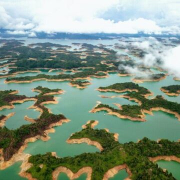 Con la biodiversidad acorralada, América Latina busca soluciones en la COP15
