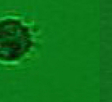 Científicos hallan al primer microorganismo que se alimenta solo de virus