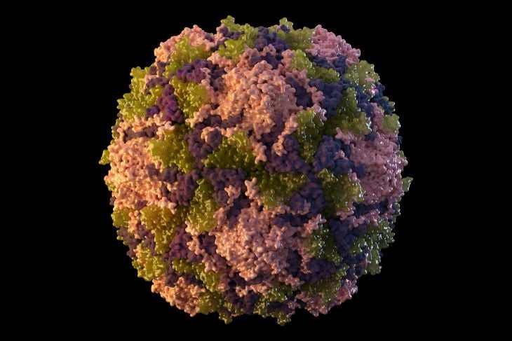 Hallazgo de 100 mil nuevos tipos de virus ayudará al desarrollo de fármacos