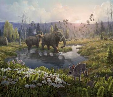 Hallan en Groenlandia el ADN más antiguo, el cual revela un asombroso mundo perdido
