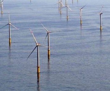 Los parques eólicos a gran escala impactan los ecosistemas marinos, revela estudio