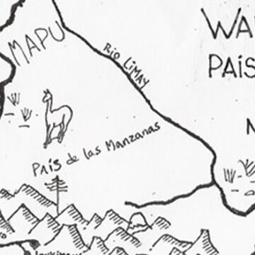 Arauco tiene una pena, el Wallmapu se desangra