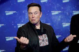 Elon Musk, confeso de golpismo