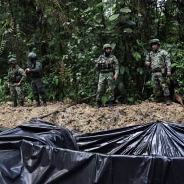 Drogas y economías extractivas en la Amazonía