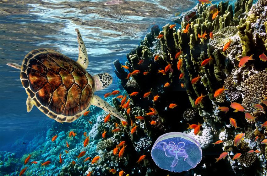 La pérdida de biodiversidad, la sexta gran extinción y la necesidad de actuar