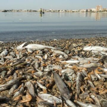 Fósforo De ingredientes para la vida a contaminantes: ¿qué está pasando con el fósforo y el nitrógeno?