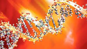A 70 años de describir su estructura de doble hélice: Datos curiosos sobre el ADN, la molécula de la vida