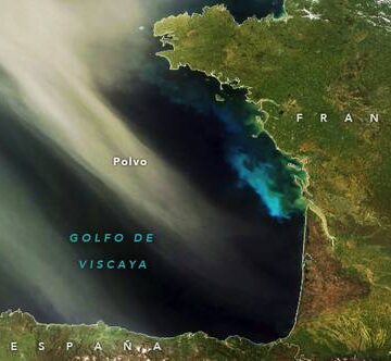La lluvia constante de polvo es un gran fertilizante del fitoplancton