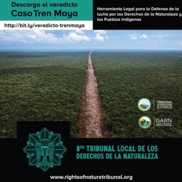 Tribunal Internacional determina ecocidio y etnocidio en México por obras del Tren Maya