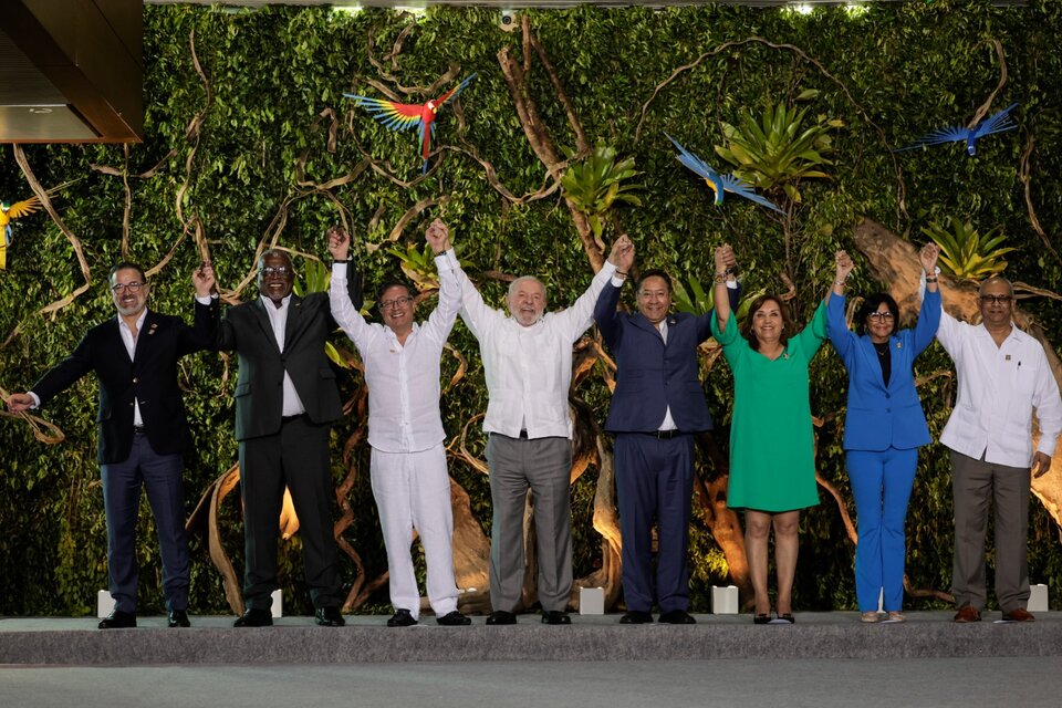 Los países amazónicos crean una alianza para combatir la deforestación