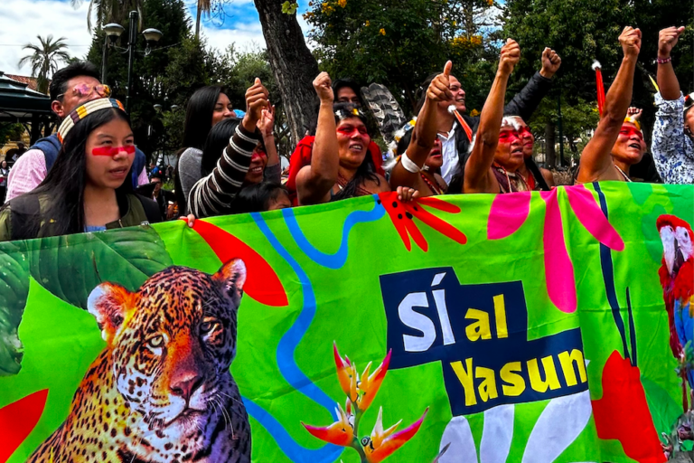 “El Yasuní demuestra los límites del correísmo y la derecha”