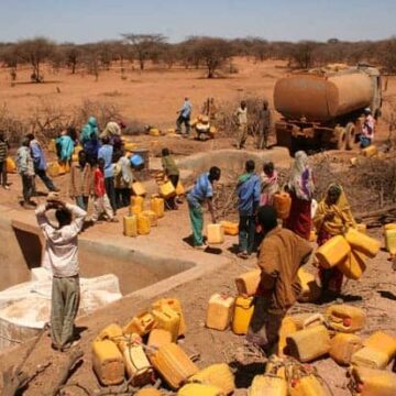 Cambio climático y crisis alimentaria