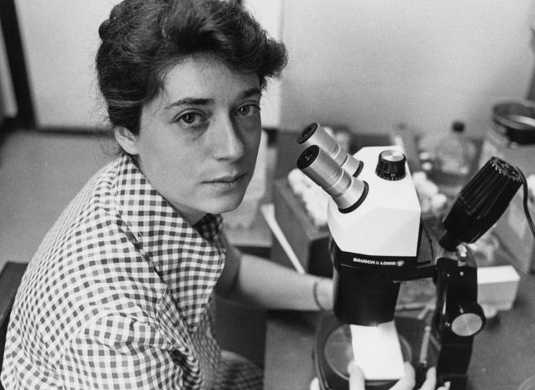 Por qué el sexo no es binario: Anne Fausto-Sterling, revisitada