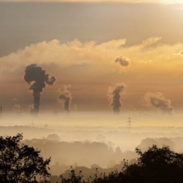 Desacreditando los créditos de carbono