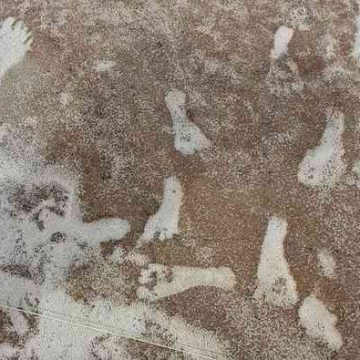 Huellas fósiles evidencian la presencia de humanos en América hace más de 20 mil años