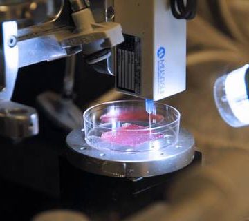 oiel Crean piel en laboratorio, útil para curar quemaduras graves