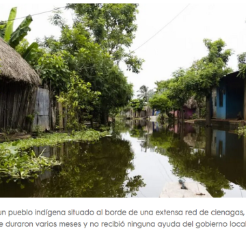 Una historia de violencia y destrucción medioambiental