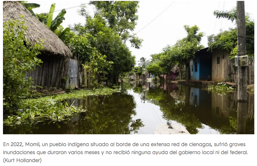 Una historia de violencia y destrucción medioambiental