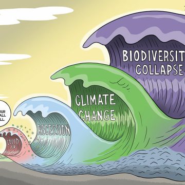 Cambiar los valores para frenar el colapso de la biodiversidad