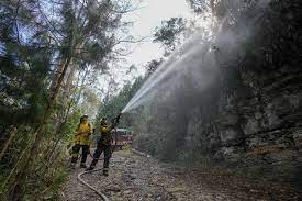 Declara Colombia desastre y calamidad por incendios; pide ayuda