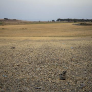 La temperatura de la Tierra bate todos los récords y el mundo roza el aumento de 1,5º en 2023