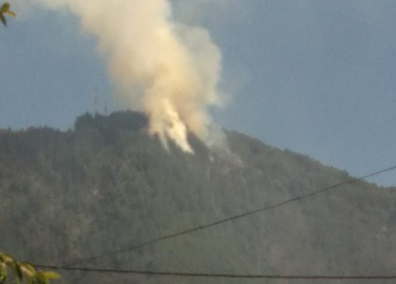 Los bomberos, entre amargura y dedicación