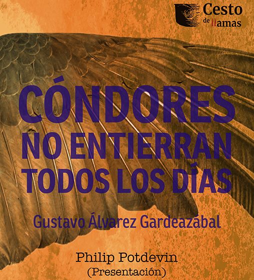 propuestas de portada para Cóndores final Cóndores no entierran todos los días