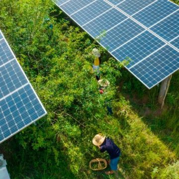renovables ¿Qué están haciendo las potencias en pos de la transición energética?