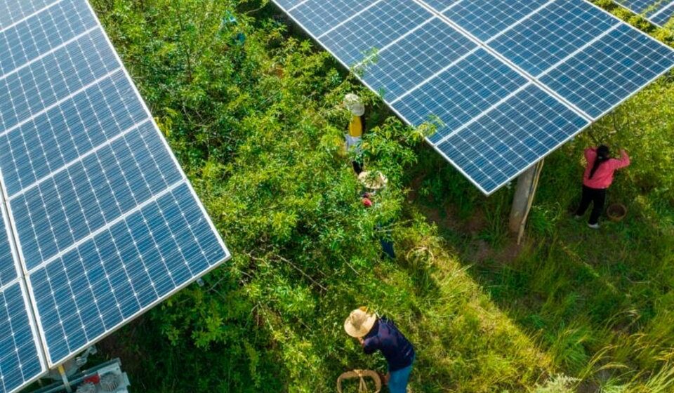 ¿Qué están haciendo las potencias en pos de la transición energética?