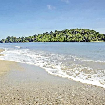 S.O.S. Isla Gorgona