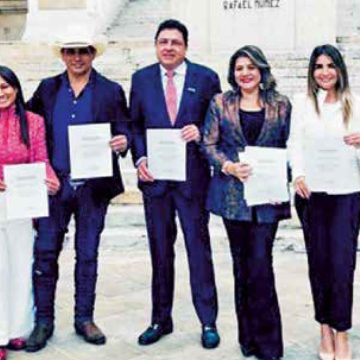Los autores de esta idea son Honorio Henríquez y Alirio Barrera del Centro Democrático; José Alfredo Marín y Nadia Blel del Partido Conservador; Lorena Ríos de Colombia Justa Libre; Miguel Ángel Pinto del Partido Liberal y Berenice Bedoya de la Alianza Social Independiente (ASI). Pelaron el cobre