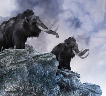 Investigadores están cerca de resucitar a un mamut