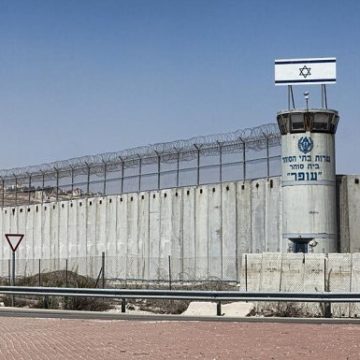 cárcel Detrás del genocidio en Gaza, el infierno de las cárceles israelíes