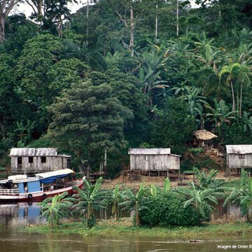 Amazonia: ciudadanía, alternativas y transiciones cortas y largas